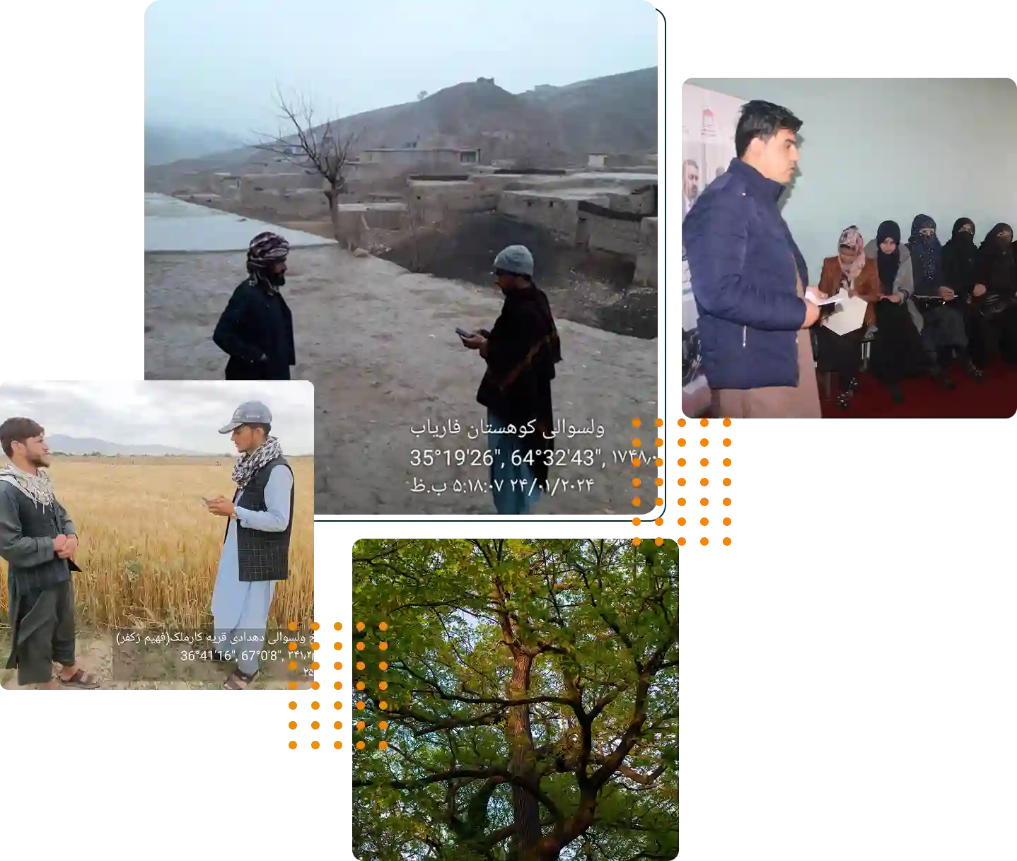 About Image